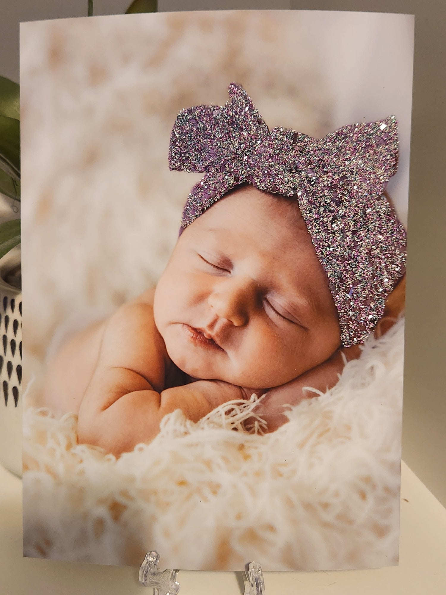 The Aurora Collection